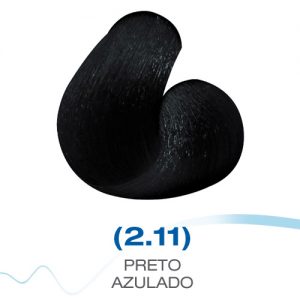 2-11 Preto Azulado