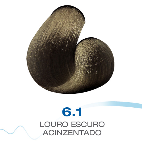 6-1 Louro Escuro Acinzentado