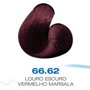 66-62 Louro Escuro Vermelho Marsala